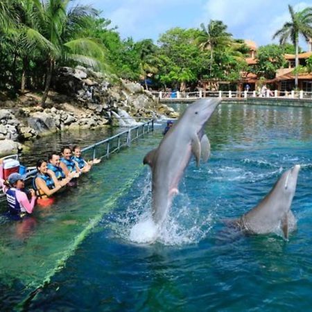 Increible Estudio En Puerto Aventuras, Condominio Con Alberca # 201 Dış mekan fotoğraf