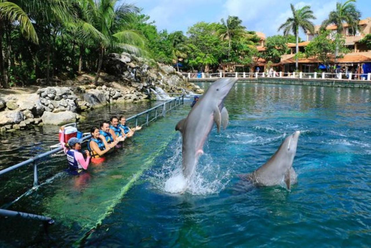 Increible Estudio En Puerto Aventuras, Condominio Con Alberca # 201 Dış mekan fotoğraf